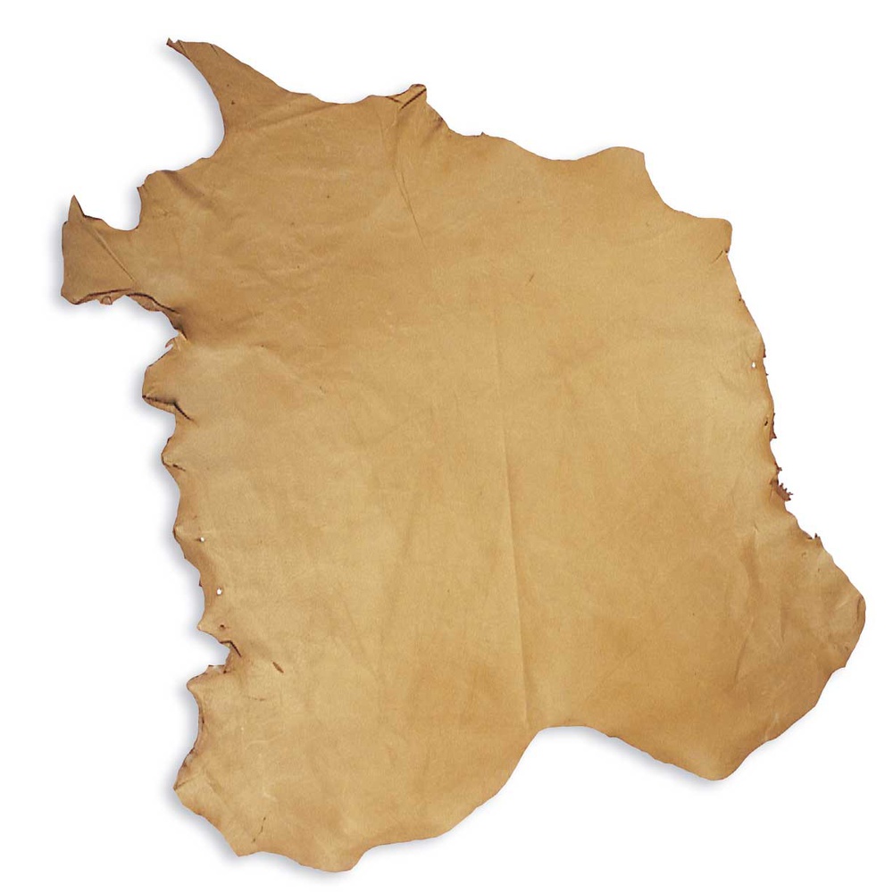 cerdo-flor-pecary_1000_1000-31863